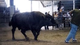 oꂷ鋍@