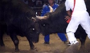 SDDA