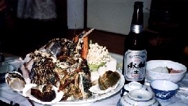 CZGr̓痿