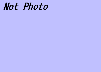Not Photo